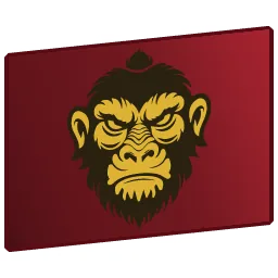 Charlesmartellny flag