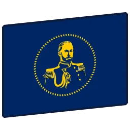 Sims flag