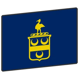Rochester flag