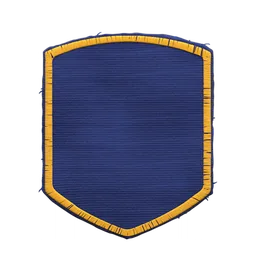 Shield patch