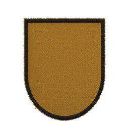 Shield patch