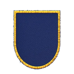 Shield patch