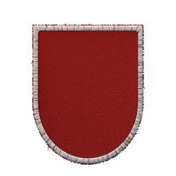 Shield patch