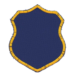 Shield patch
