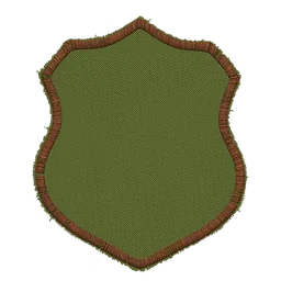 Shield patch