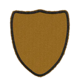 Shield patch