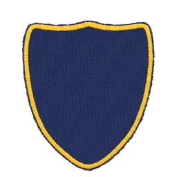 Shield patch