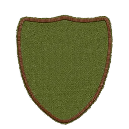 Shield patch