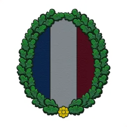 Tricolore patch