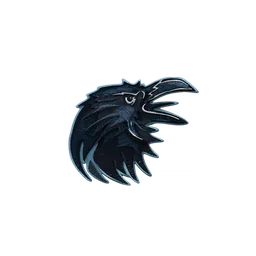 Raven patch