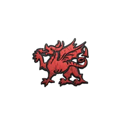 Dragon patch