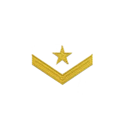 Midshipman patch
