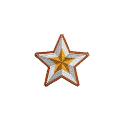 Fleet Pioneer patch