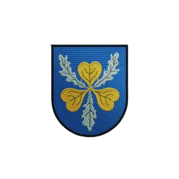 Bismarck patch