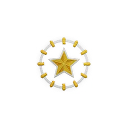 Fleet Trailblazer patch