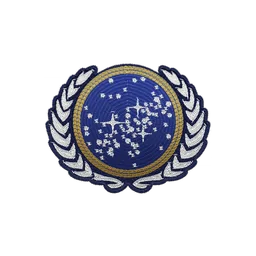Federation patch