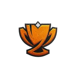 Fleet Cup Champion patch