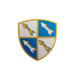 Velos patch