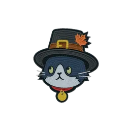 Pilgrim Sam patch