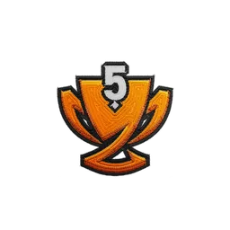 Fleet Cup 5 Champion patch