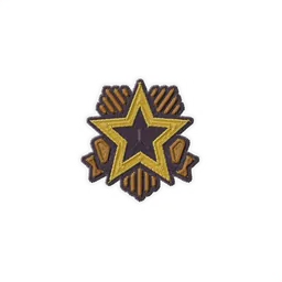 Season 1 Champion patch