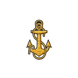 Anchor patch