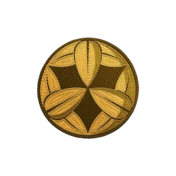 Iwami patch
